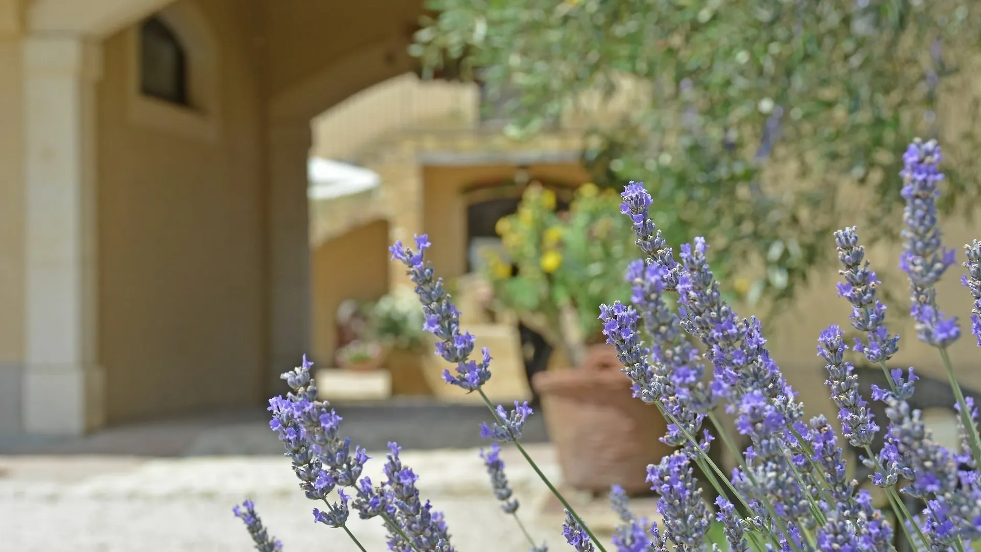 Vila Il Casale Delle Rose Caltagirone Farma