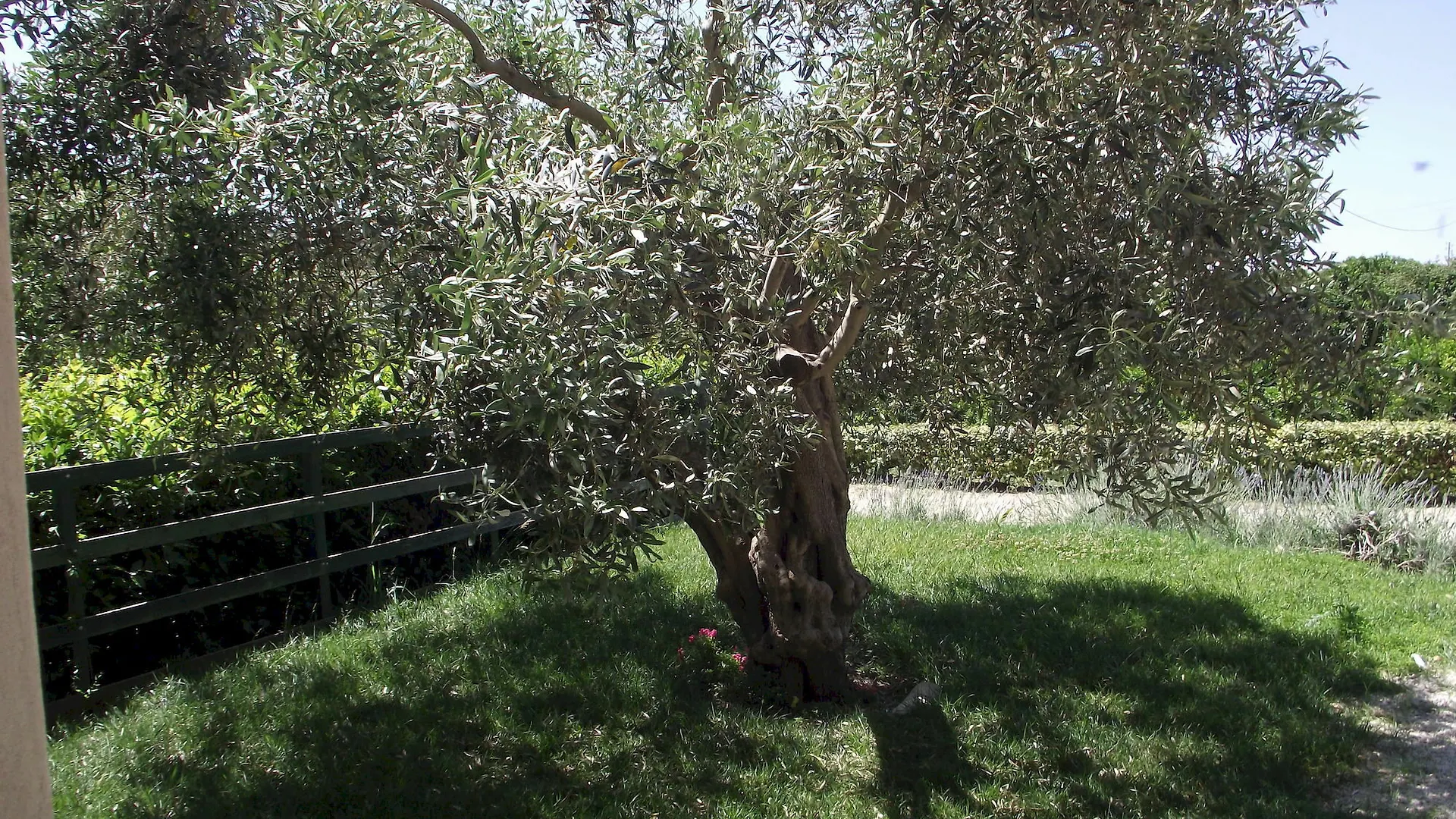 Villa Il Casale Delle Rose Caltagirone Alloggio per agriturismo