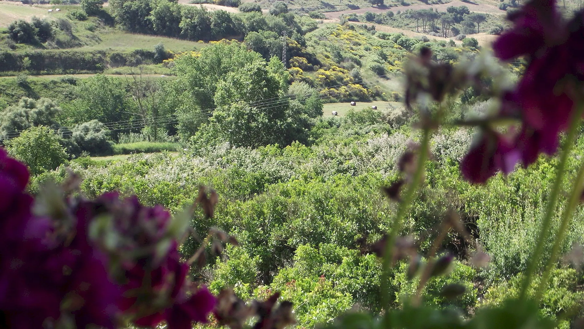 Vila Il Casale Delle Rose Caltagirone
