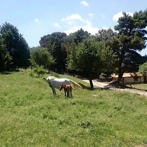 Bosco Pianetti Alloggio per agriturismo